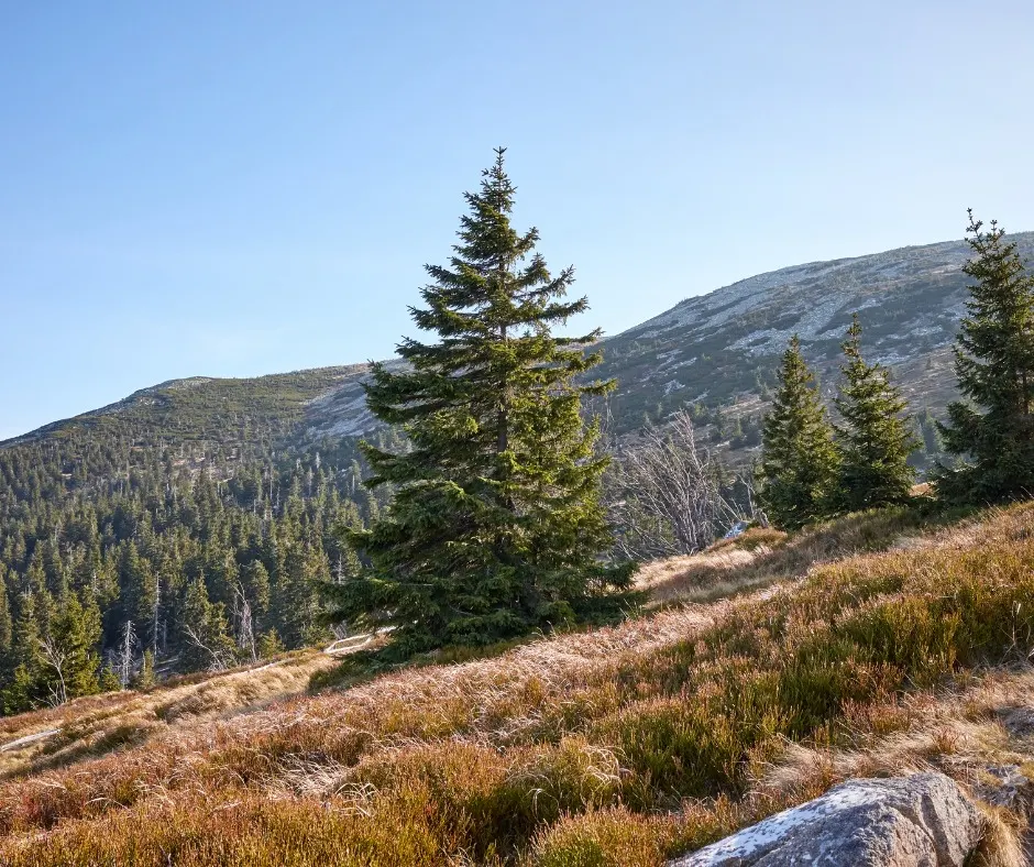 Karkonoski Park Narodowy — przewodnik po szlakach, Śnieżce i wodospadach